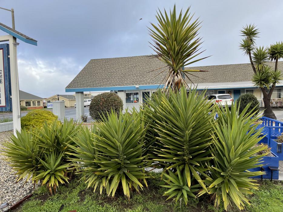 Baymont By Wyndham Fort Bragg Exteriör bild